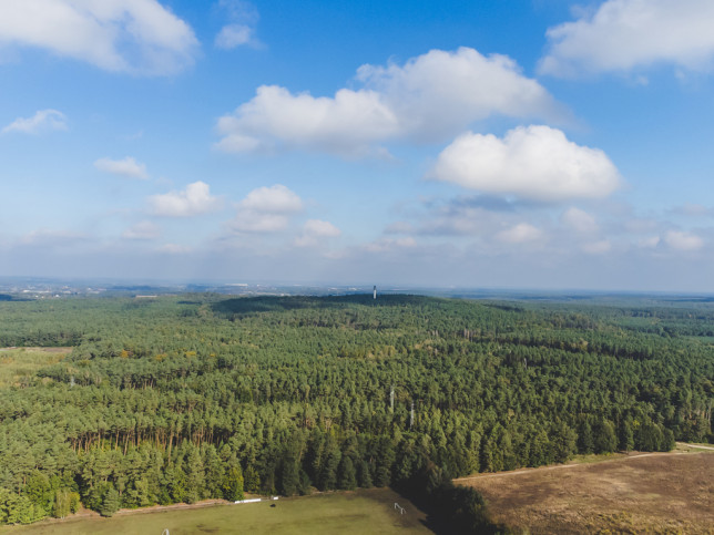 Działka Sprzedaż Kicin 2